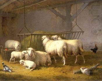 Sheep 132, unknow artist